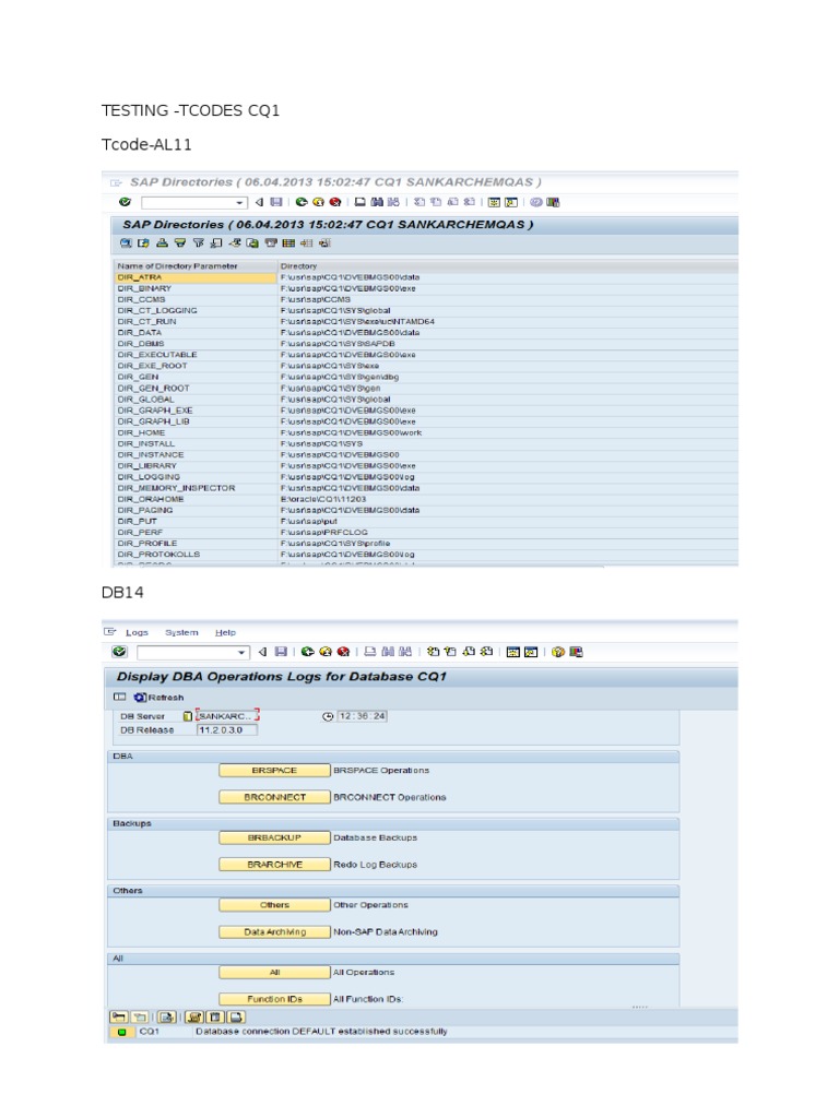 SAP Tcodes for System Testing | PDF | Science & Mathematics