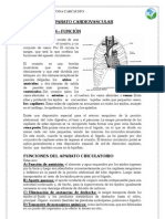 APUNTE CIRCULACIÓN