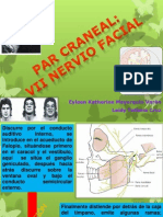 Par Craneal Vii