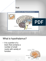 Hypothalamus PART 2