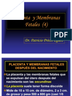 Placenta y Membranas Fetales 4
