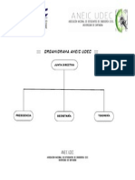 ORGANIGRAMA ANEIC UDEC