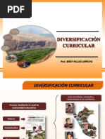 DIVERSIFICACION