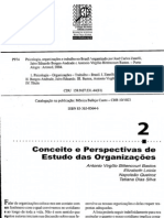 Texto 03 PTO - Conceitos e Perspectivas de Estudo das Organizações