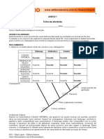Cladograma PDF