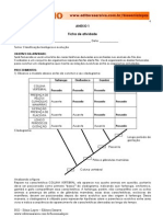 Classificação biológica cordados