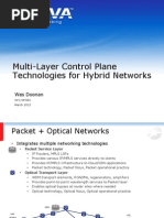 Adva Multi-Layer Control Plane Technologies for Hybrid Networks