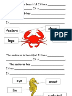 The Red Crab Is Beautiful