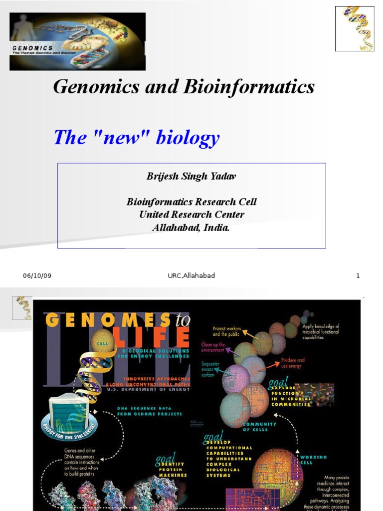 Genomics and Bioinformatics Overview | PDF | Genomics | Genome