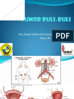 TUMOR BULI-BULI