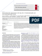 Intervertebral disc degeneration in the dog. Part 2