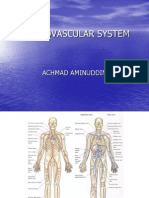 (Dr. Amin) Cardiovascular System