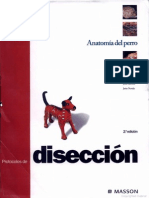 Anatomia Del Perro - Protocolos de Diseccion