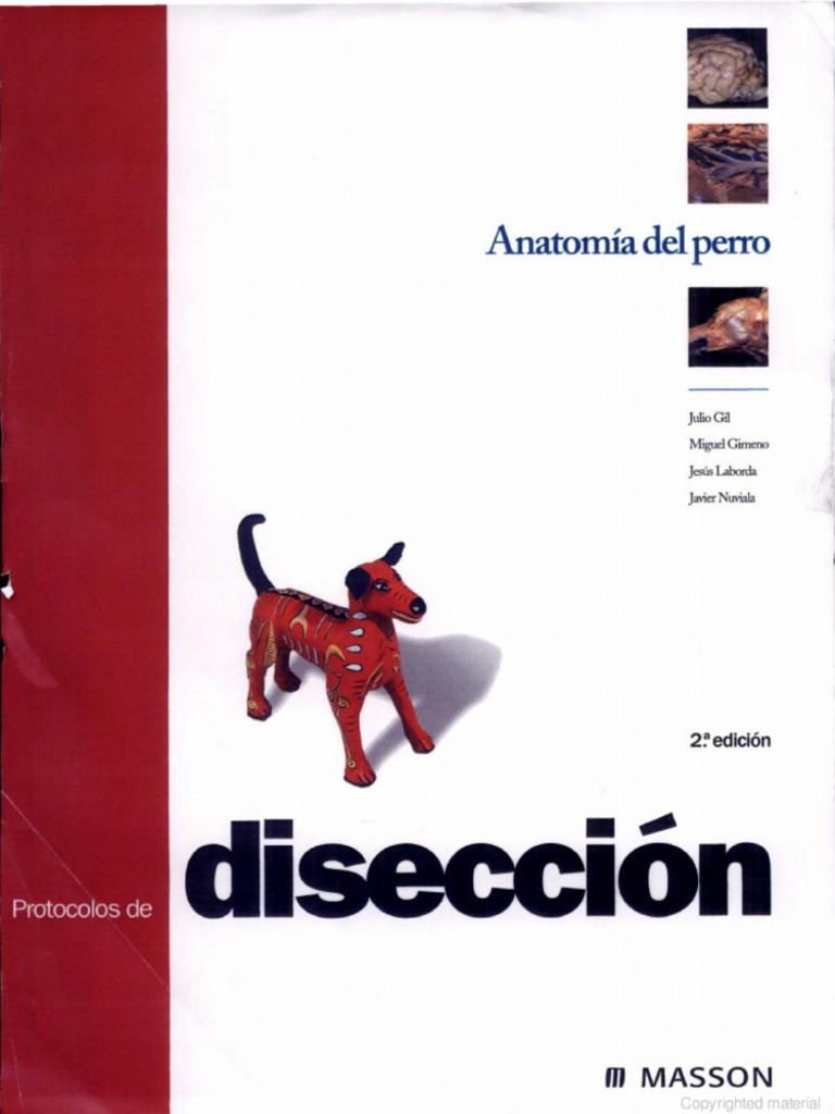 Anatomia Del Perro - Protocolos de Diseccion | PDF