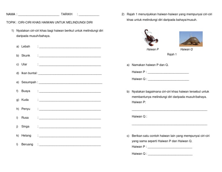 Latihan Ciri Ciri Khas Haiwan Pdf