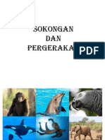 Sokongan & Pergerakan