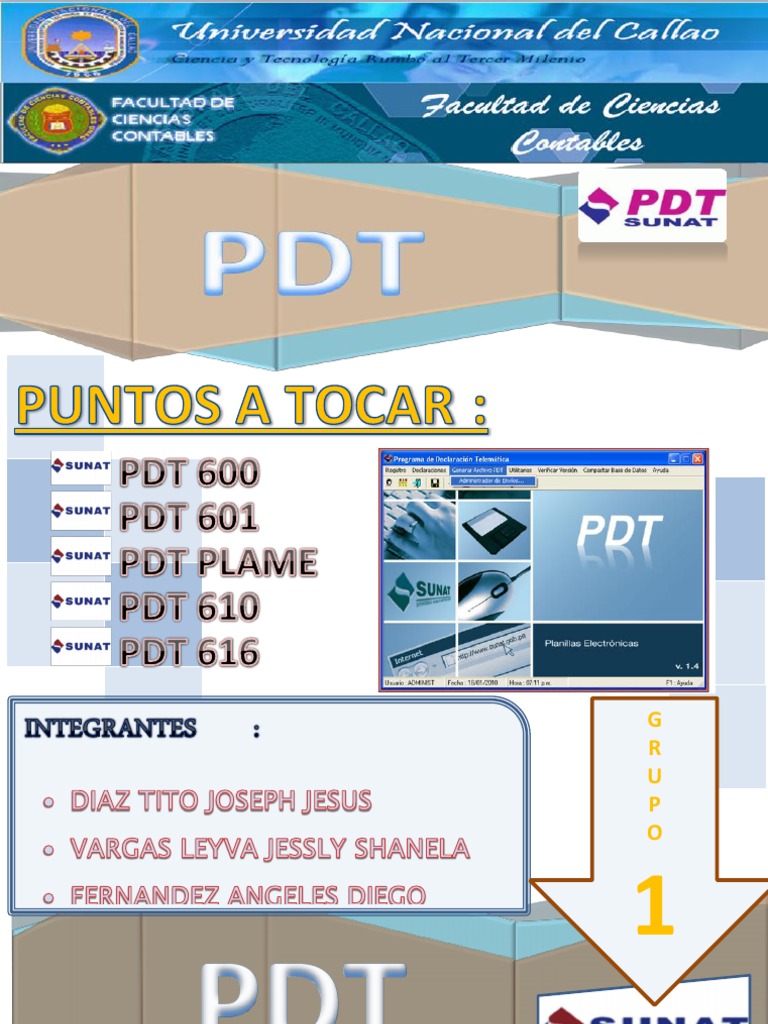 Guía sobre PDT y Formularios SUNAT | PDF | Derecho laboral | Impuestos