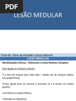 lesomedular-parte2-120521090715-phpapp02