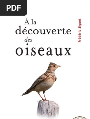 A La Decouverte Des Oiseaux Oiseaux Migration Des Oiseaux