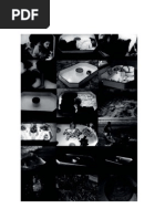 Suely Rolnik - Furor de Arquivo