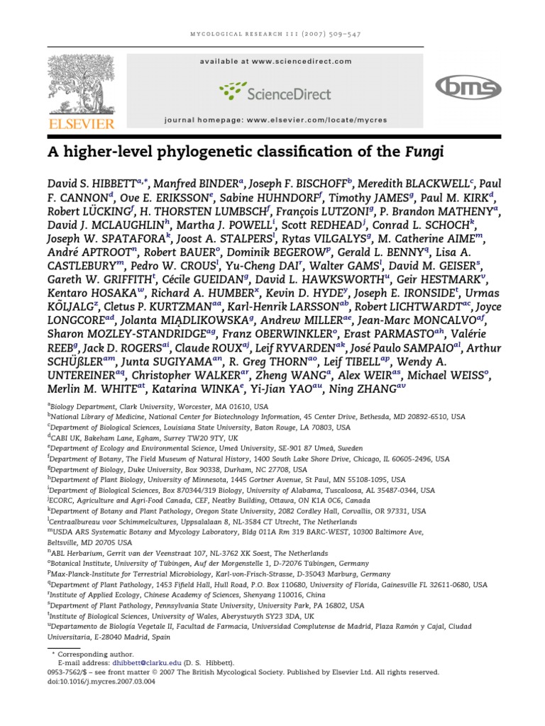 Phylogenetic Classification of Fungi | PDF | Taxonomy (Biology) | Fungus