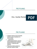 Pie Plano