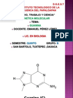 Genetica Molecular - Guanina