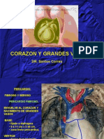 5ta Clase Torax - Corazon - Dr. Correa