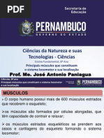 Sistema Muscular E. Fundamental . PPT