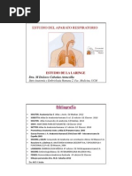 Anat de La Laringe 11 12