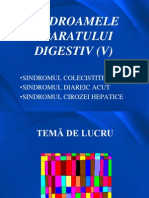 Sindroamele Aparatului Digestiv (V)