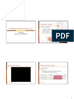 Aula Sistema Neuromuscular 2013-1