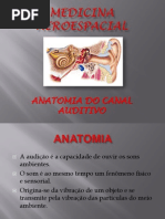Anatomia Do Ouvido