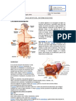 REPASO Sistema Digestivo
