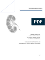 Insuficiencia Renal Cronica