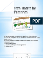 La Fuerza Motriz De Protones.ppsx