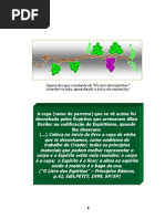 Curso o Que e o Espiritismo Apostila