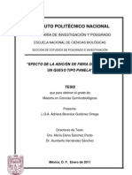 Queso_avena.pdf