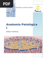 42766091 Sebenta Teorica AP