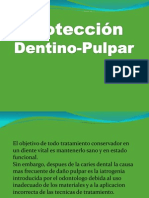 protectorespulprocio-111025175950-phpapp01