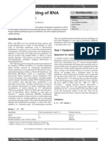 Capillary Blotting of RNA and DNA gels.pdf