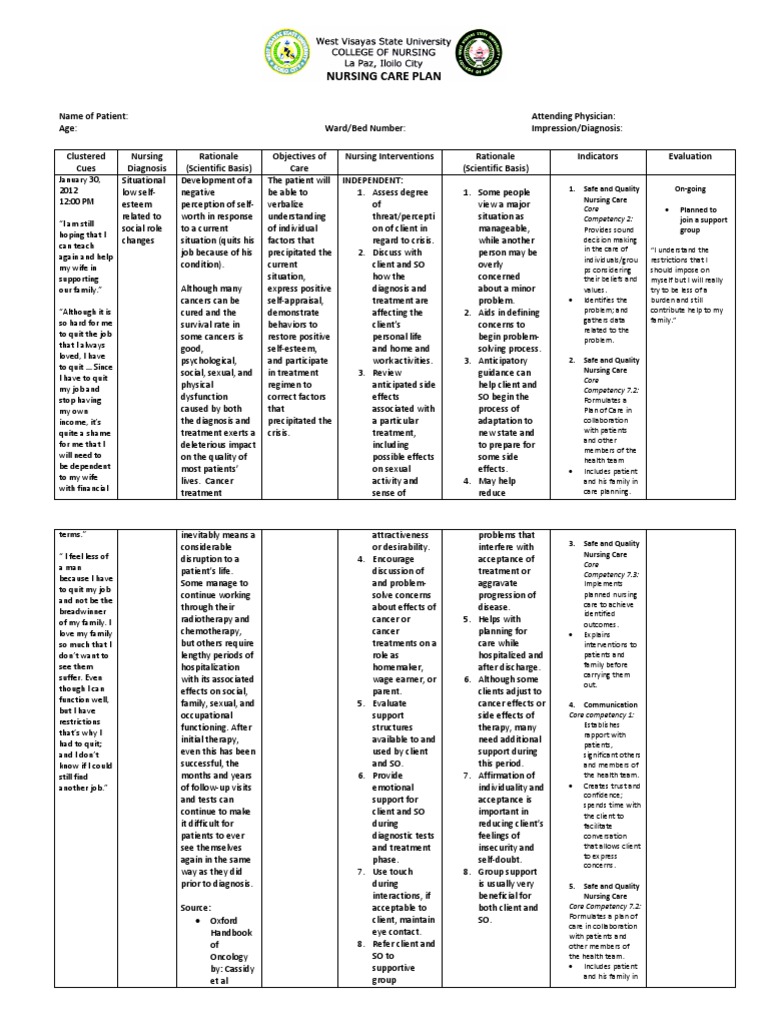 Nursing Care Plan for Low Self-Esteem | PDF | Therapy | Nursing