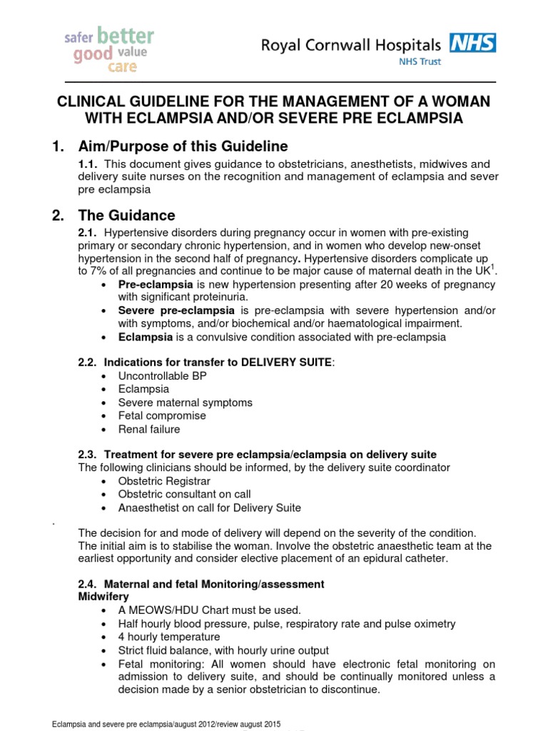 Clinical Guideline For The Management of A Woman With Eclampsia And/Or