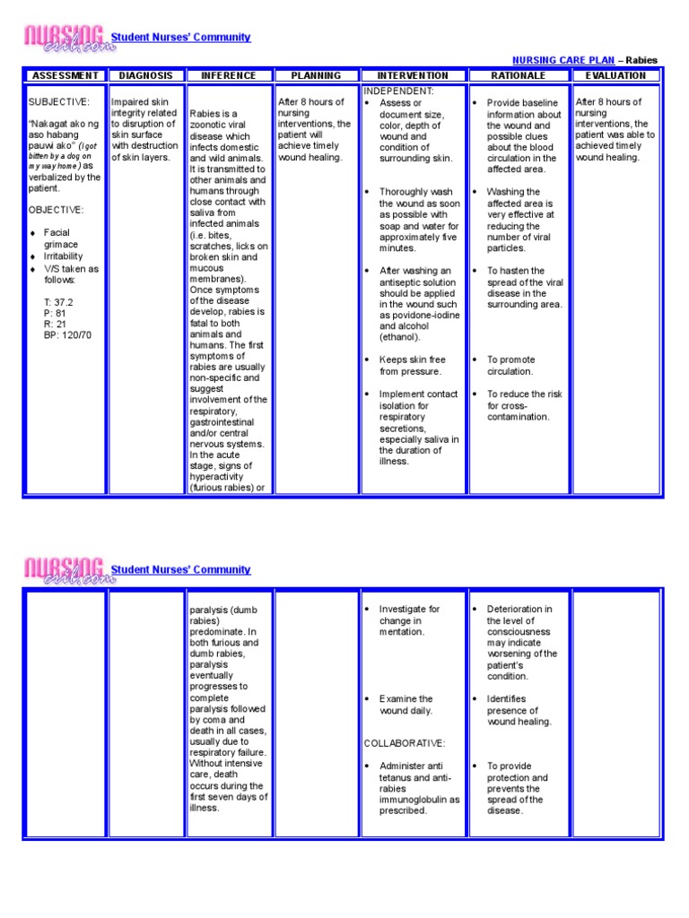 Nursing Care Plan - Rabies | PDF | Rabies | Wound
