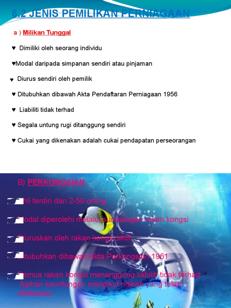 Pemilikan Perniagaan (Jenis-Jenis)  PDF