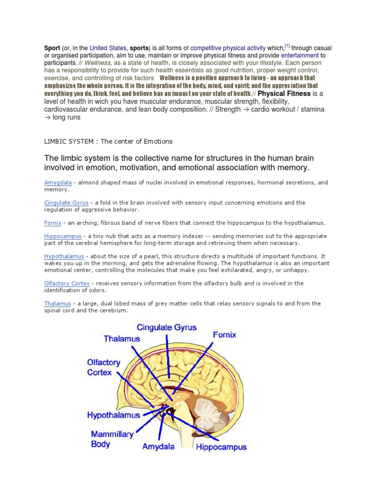 The Limbic System Is The Collective Name For Structures in The Human ...
