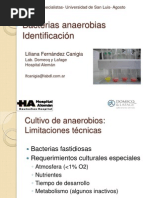 Download Identificacin anaerobios San Luis 2013 para dejar by Marite Saad SN163191200 doc pdf