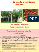 Proizvodnja Jagode - Zasticeni Prostor