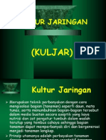 Definisi Kuljar