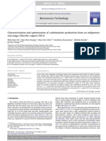 Characterization and Optimization of Carbohydrate